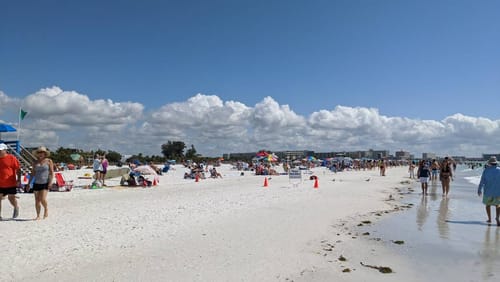 Florida 2020