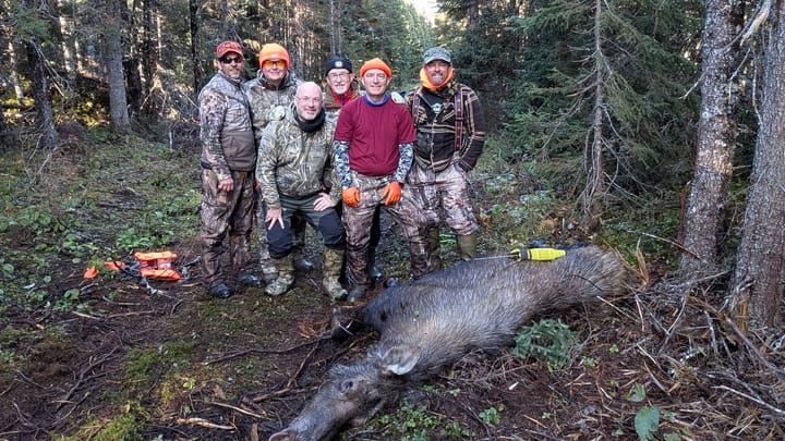 Moose hunting in Newfoundland - 2026: Family, friends, and one very successful hunt